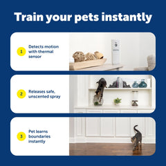 PetSafe SSSCAT odorless spray near furniture prevents marks while training.