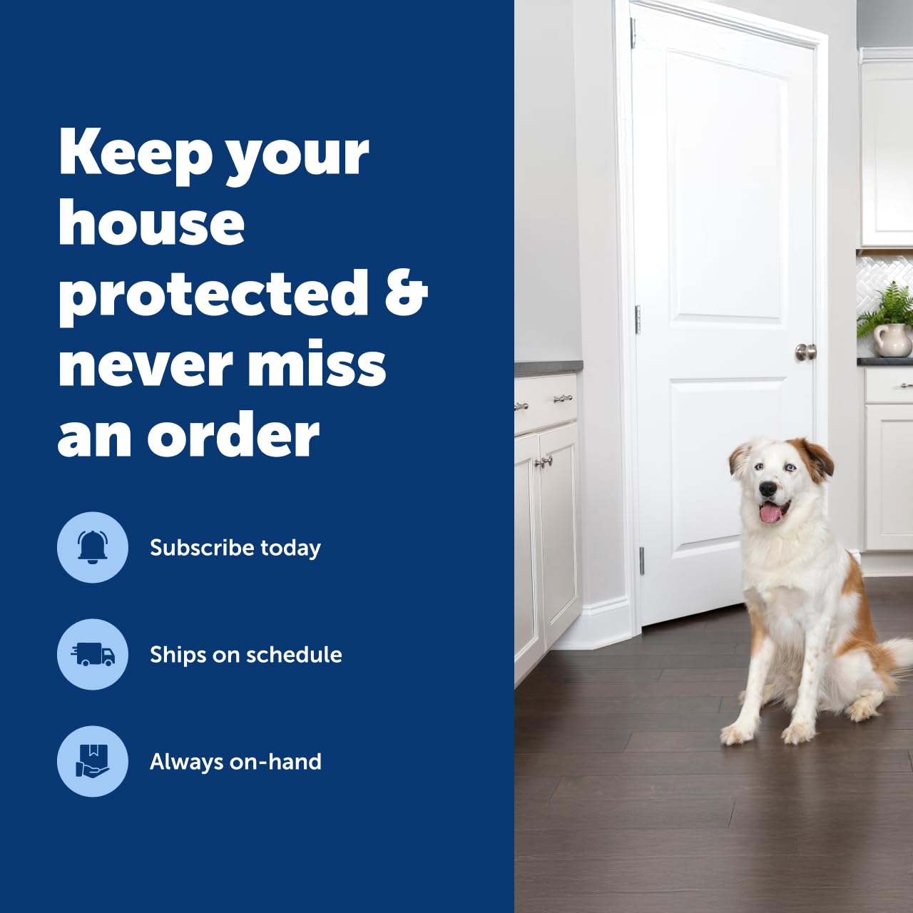 Petsafe SSSCAT off-limits-area setup helps deter sofas and trash cans