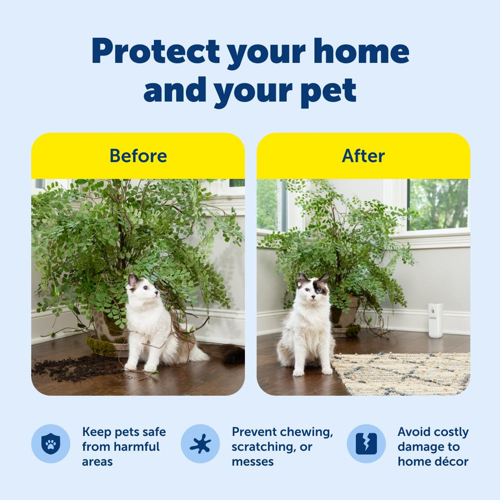 PetSafe SSSCAT refillable canister highlights reusable training solution.