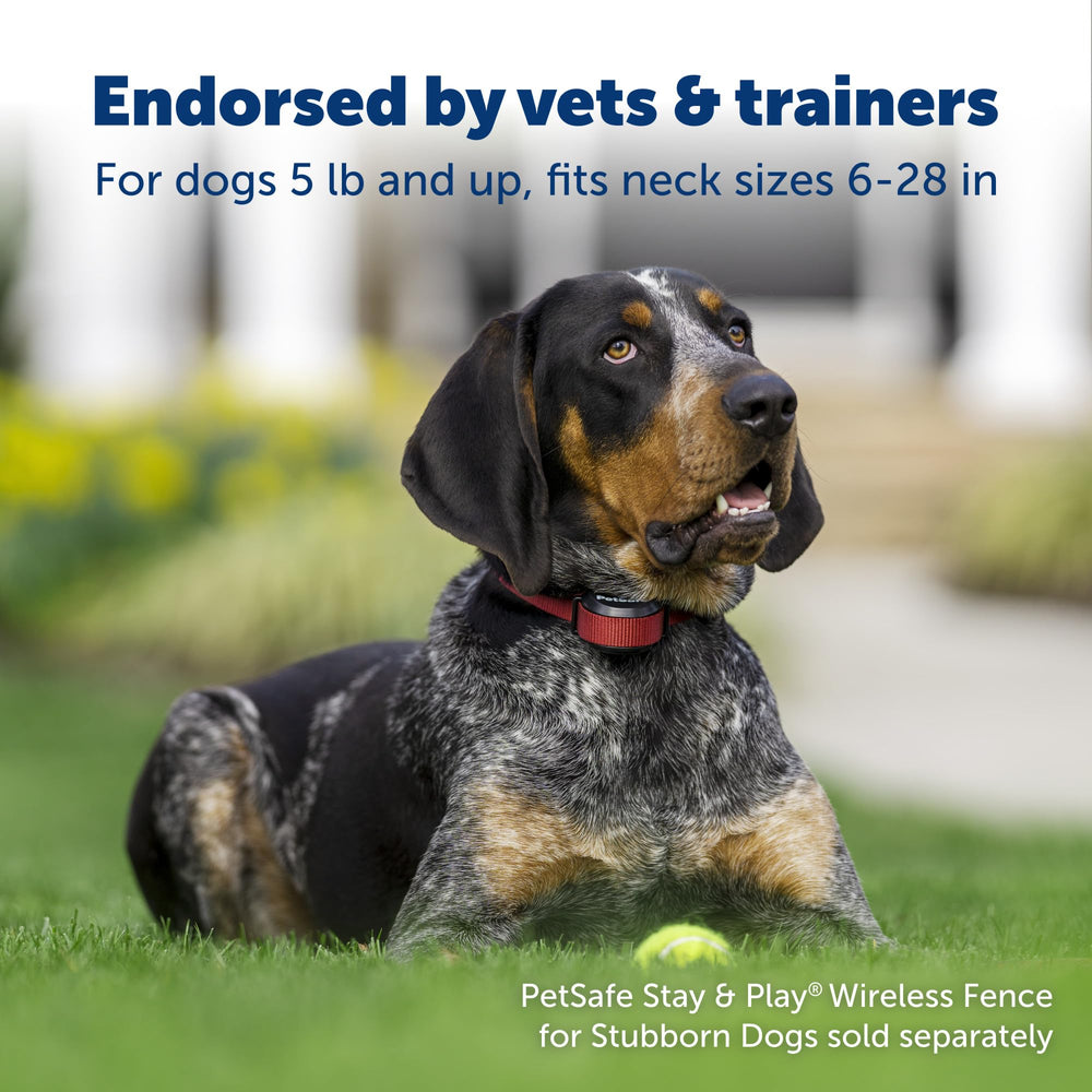 PetSafe Stay & Play boundary flags marking the invisible fence for training