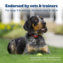 PetSafe Stay & Play boundary flags marking the invisible fence for training