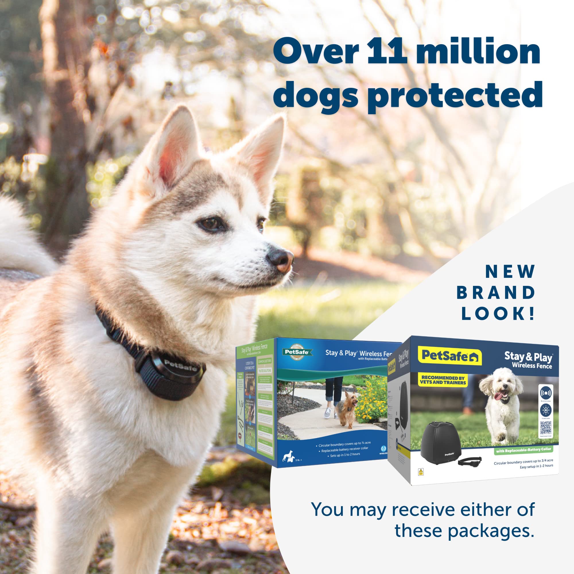 PetSafe Stay & Play multi-pet system supports multiple collars for households with several pets.