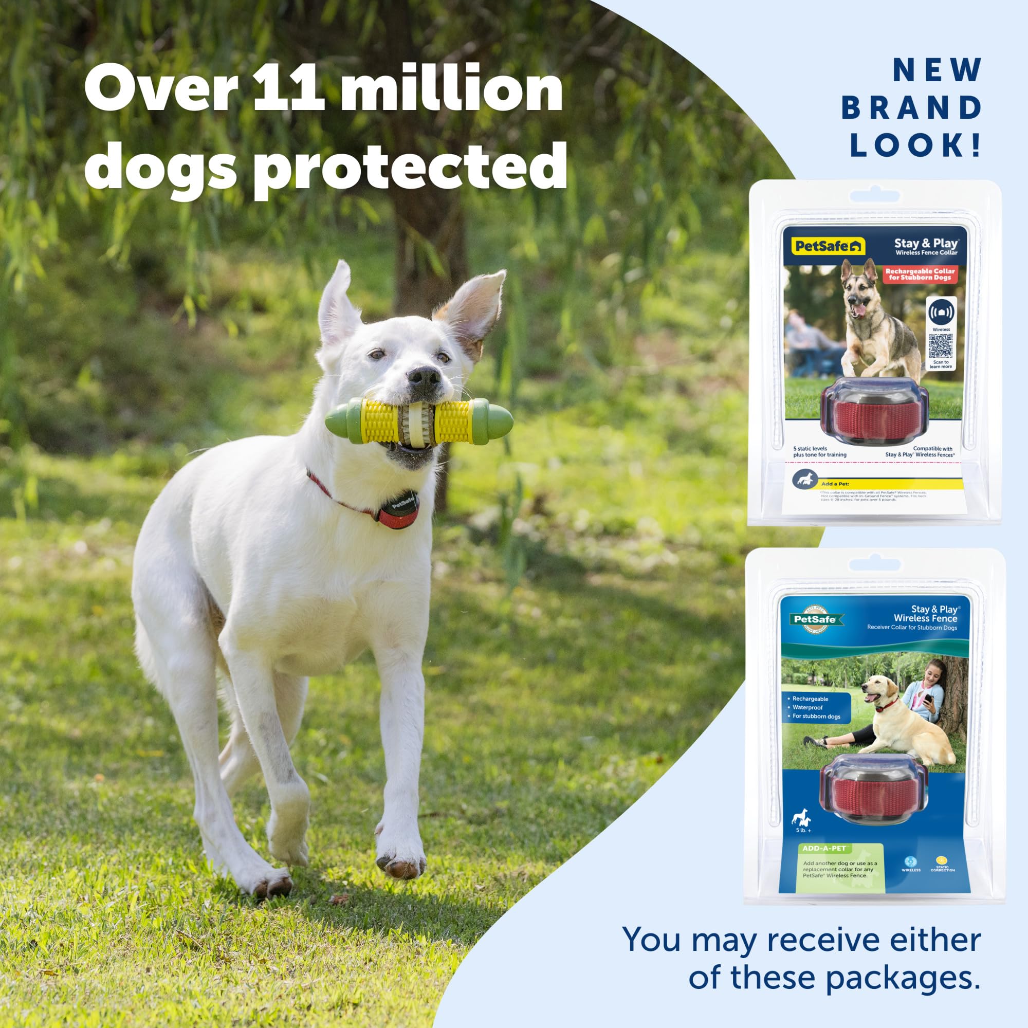 Multiple pets enjoying a yard setup with PetSafe Stay & Play system