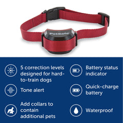 Dog wearing PetSafe Stay & Play receiver collar during training