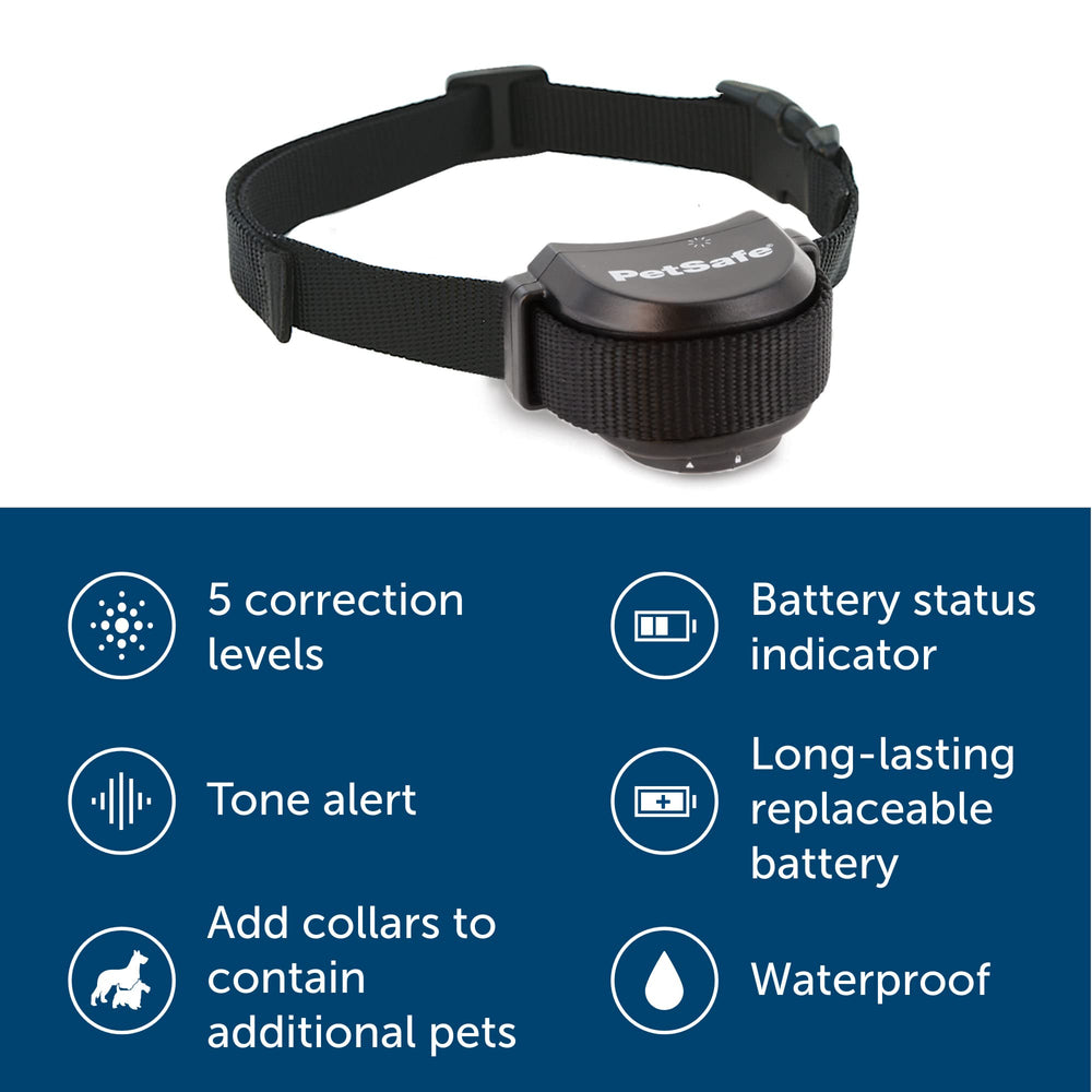 PetSafe Stay & Play replaceable battery collar ensures long-lasting reliability and easy swaps.
