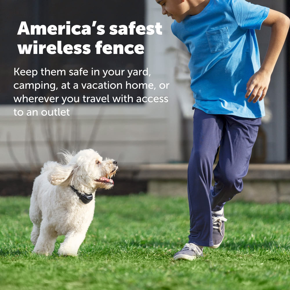 PetSafe Stay & Play waterproof collar withstands rain and splashes for everyday outdoor use.
