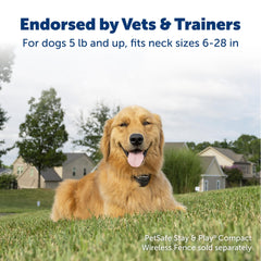 Petsafe Stay and Play system ready for yard setup with wireless fence
