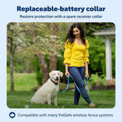 Petsafe Stay & Play collar battery life lasts 1–2 months for low-maintenance use.