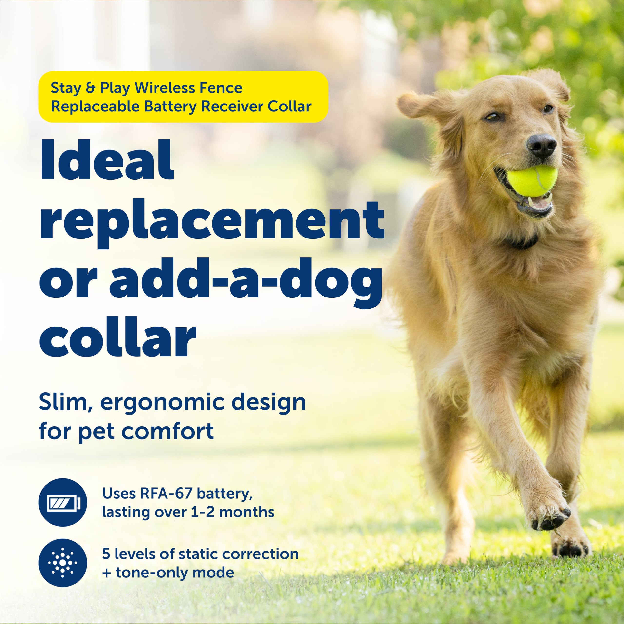 Petsafe Stay & Play receiver collar waterproof design for reliable all-weather safety.