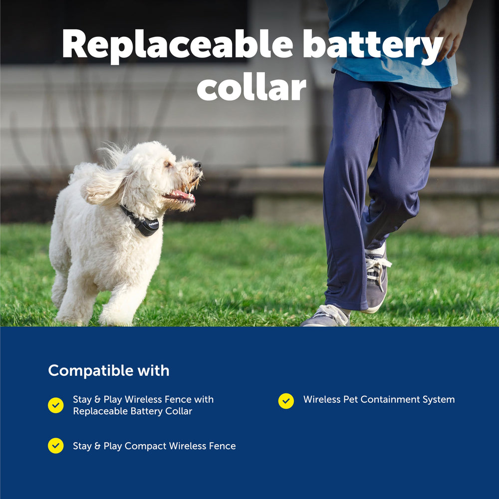 Petsafe Stay & Play tone-only training mode for gentle boundary reinforcement.