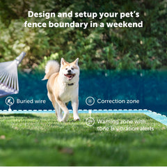 Petsafe boundary flags mark the training perimeter for clear yard boundaries.