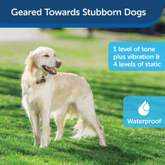 PetSafe tone and vibration mode icon illustrates non-audio cues for training.