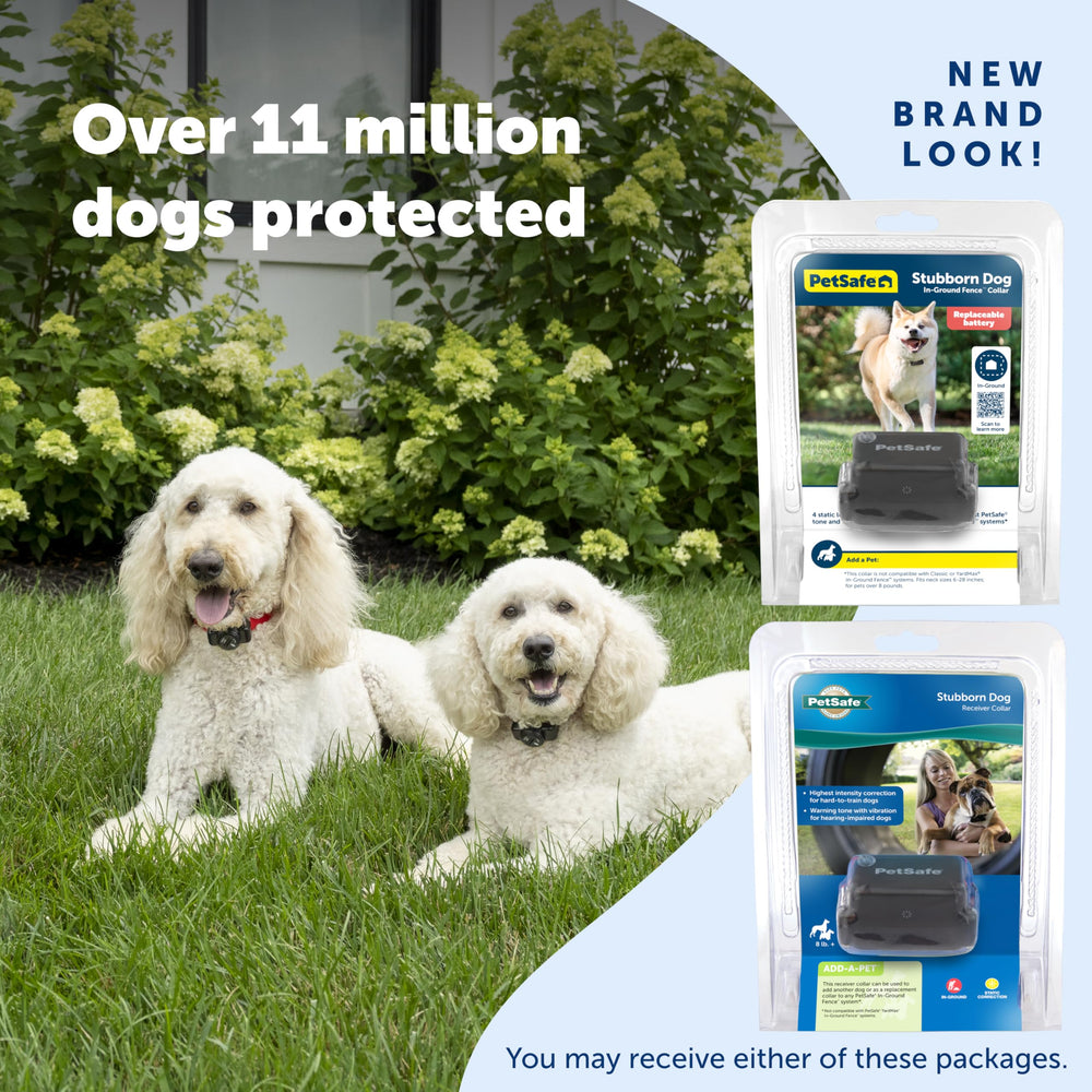 PetSafe support and US-based help for pet parents