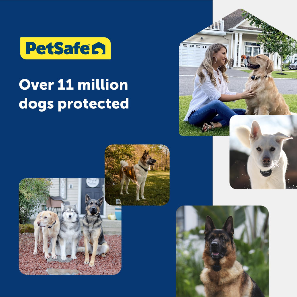 PetSafe Stubborn Dog system expandable with extra collars for multiple dogs