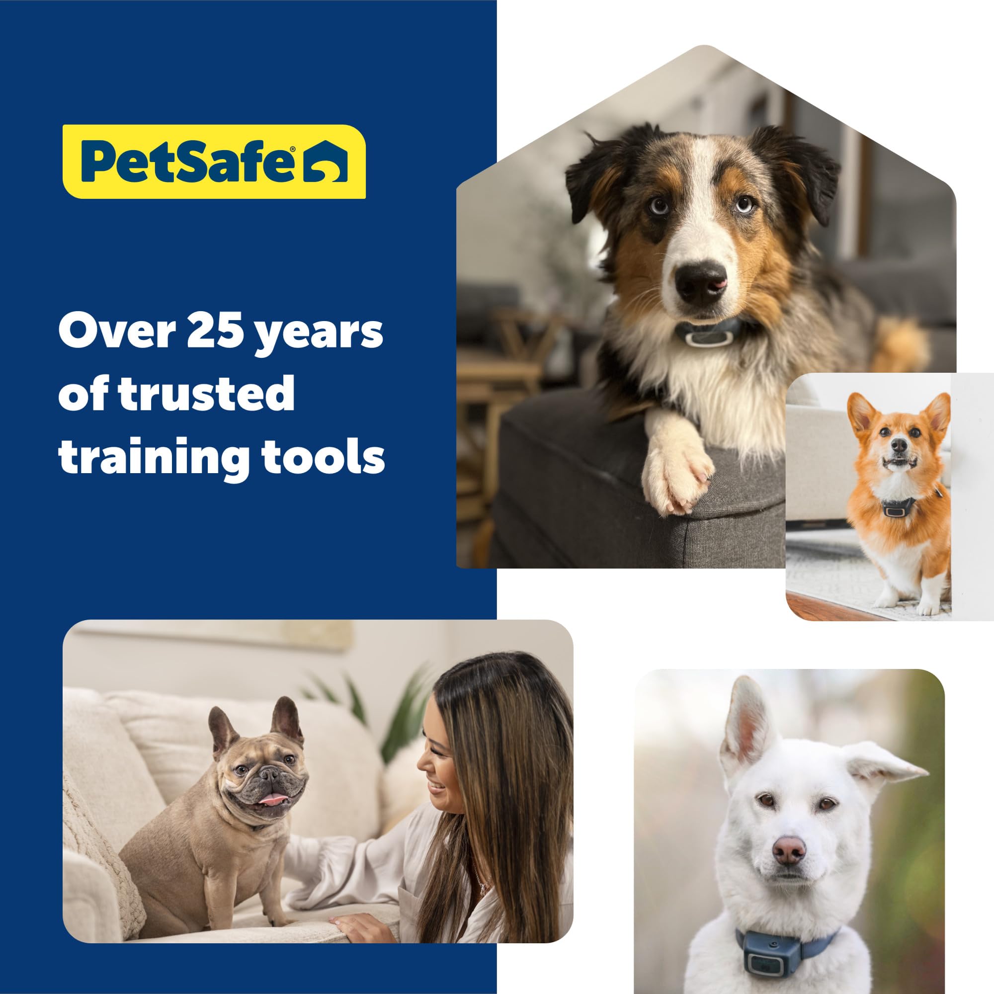 PetSafe trainer undergoing a puddle test to show durability during rainy outings.