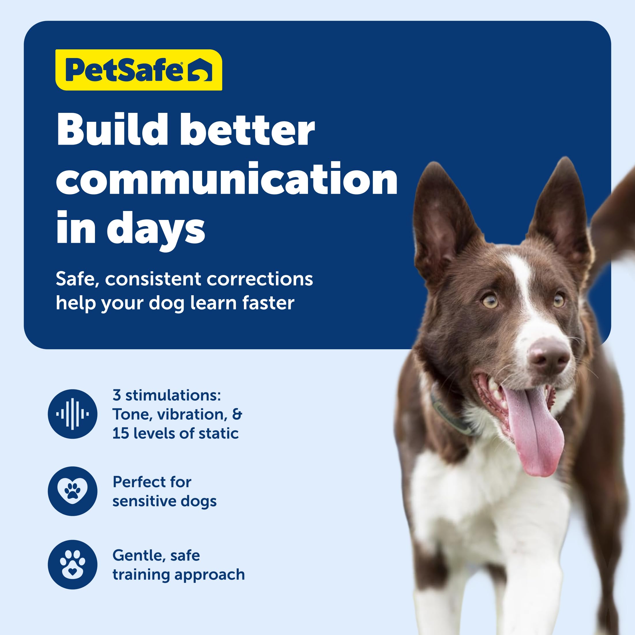 PetSafe waterproof remote and collar image showcases all-weather training during puddle-ready adventures.