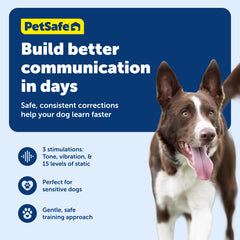 PetSafe waterproof remote and collar image showcases all-weather training during puddle-ready adventures.