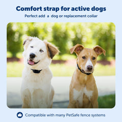 PetSafe YardMax neck-size range 6-28 inches enables customizable comfort.