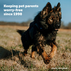 PetSafe YardMax tone and correction controls shown for training.