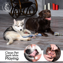 Pets&Goods dog rope tug toy in action for bonding and training.