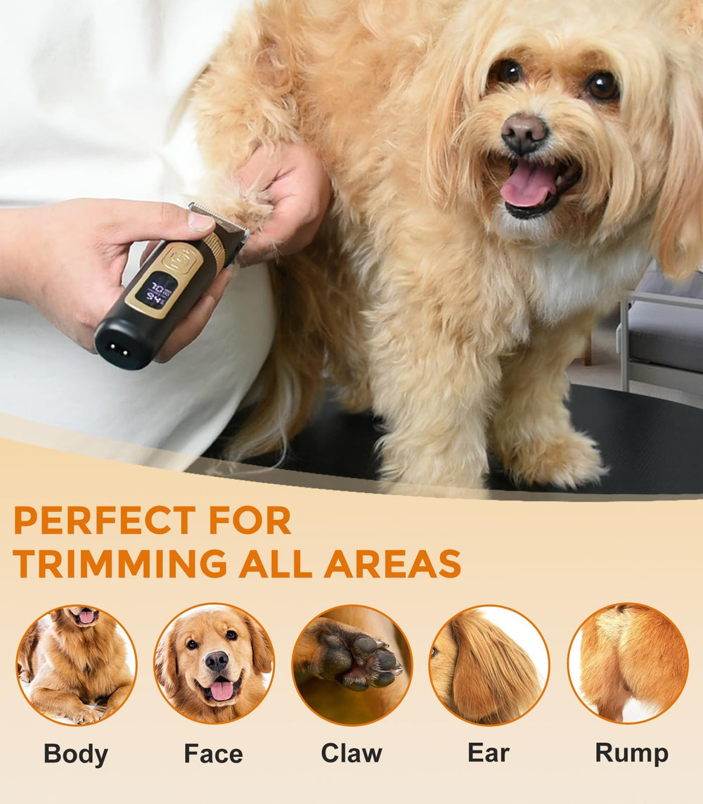 Petsaunter 4-speed control and LCD readout help pick the right setting