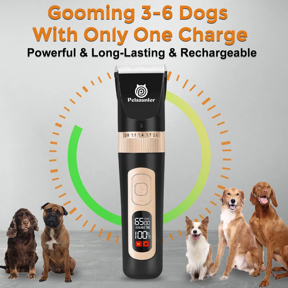 Petsaunter dog clippers included grooming tools and stainless scissors for a complete kit
