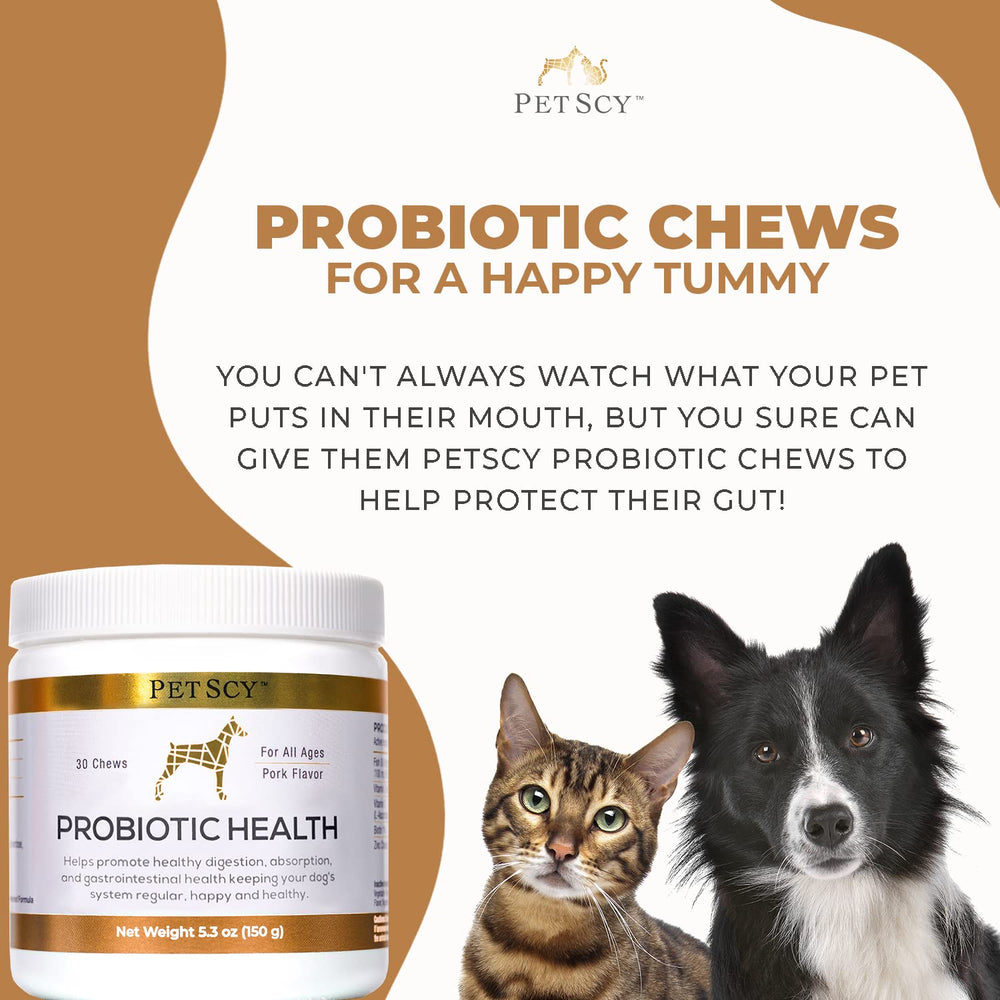 PetScy Probiotic Chews promote shinier coat and healthier skin