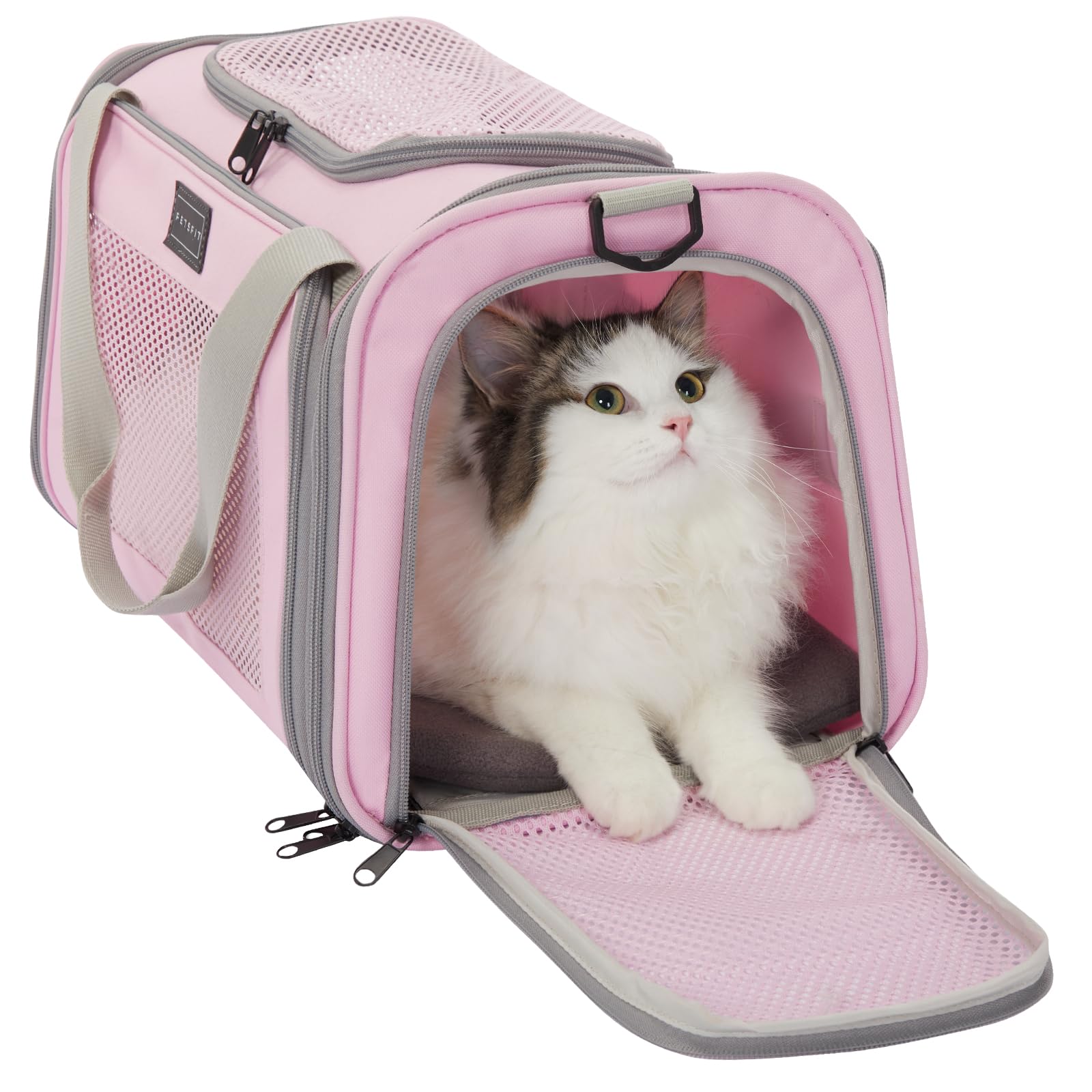 Petsfit airline-approved cat carrier under-seat fit for travel comfort.