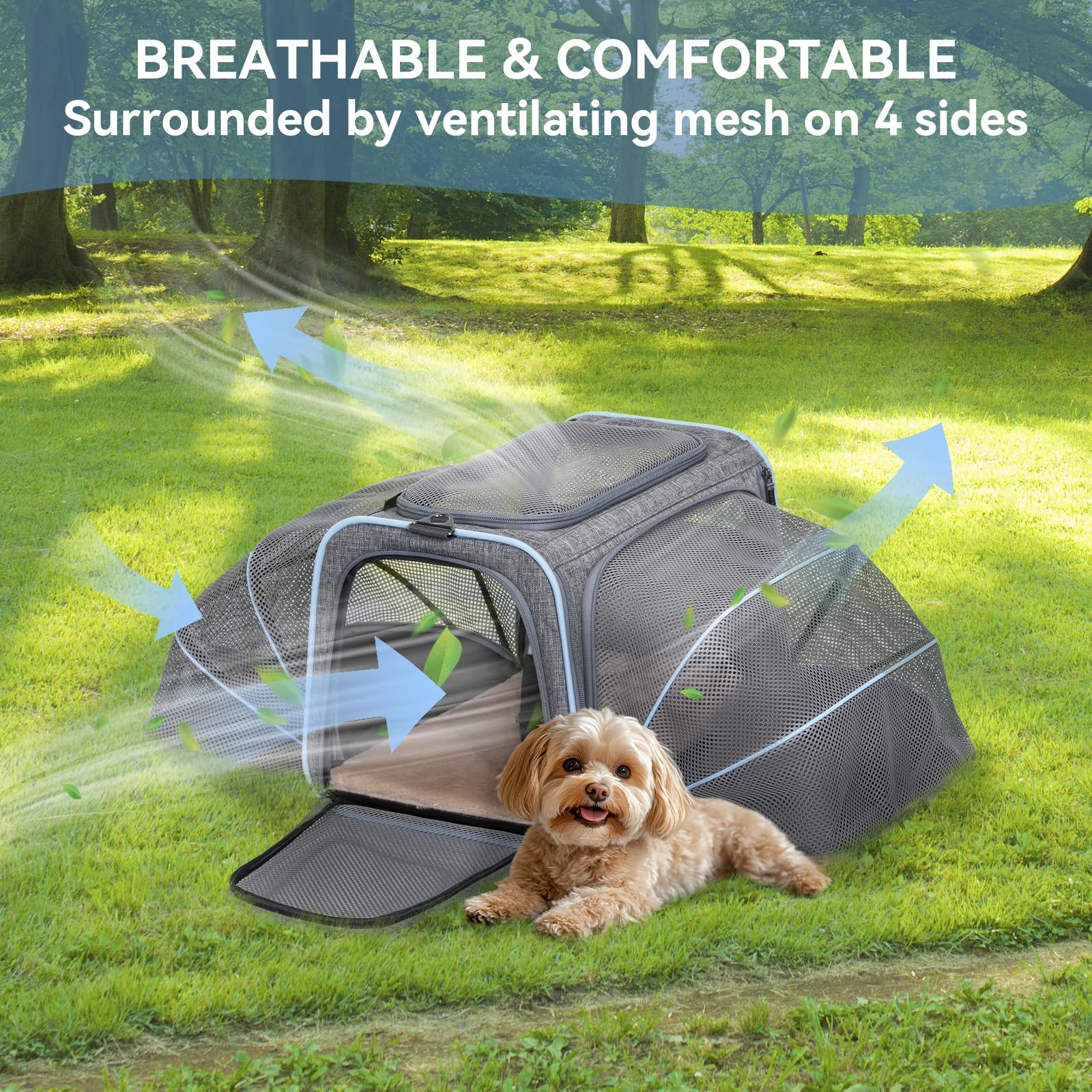 Petsfit airline-approved design supports compliant travel under many airline rules.