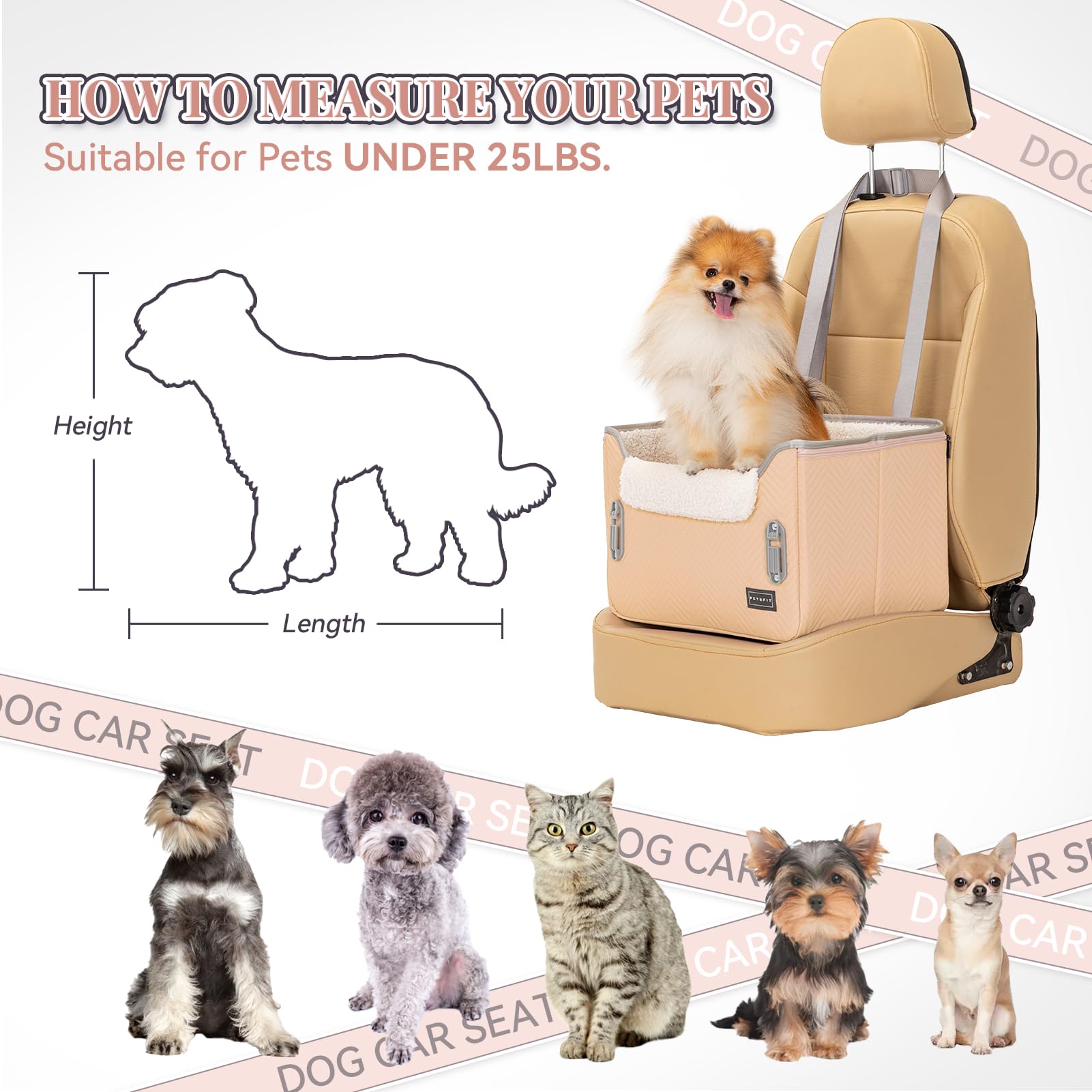 Petsfit cat car seat folded-flat for easy storage in car trunks.