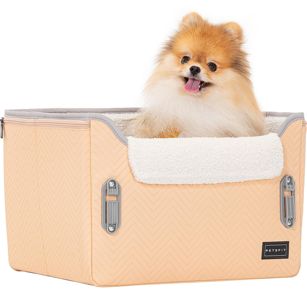 Petsfit cat car seat can double as cozy bed or portable perch.