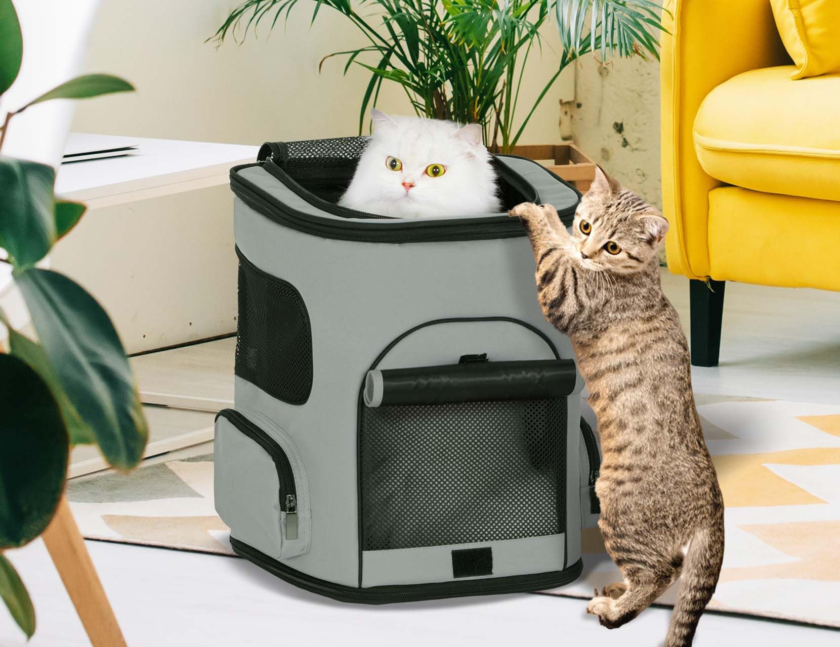 Petsfit cat carrier 600D Oxford cloth exterior resists scratches during adventures.