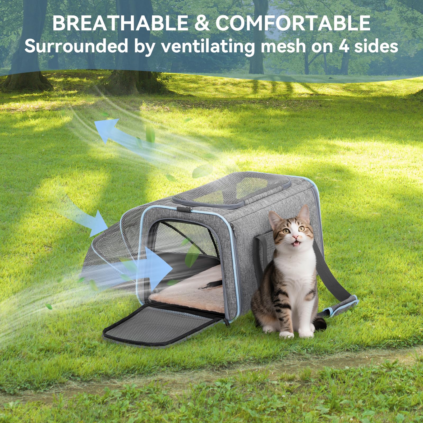 Petsfit dimensions-16x10x9 inches suited for small pets.