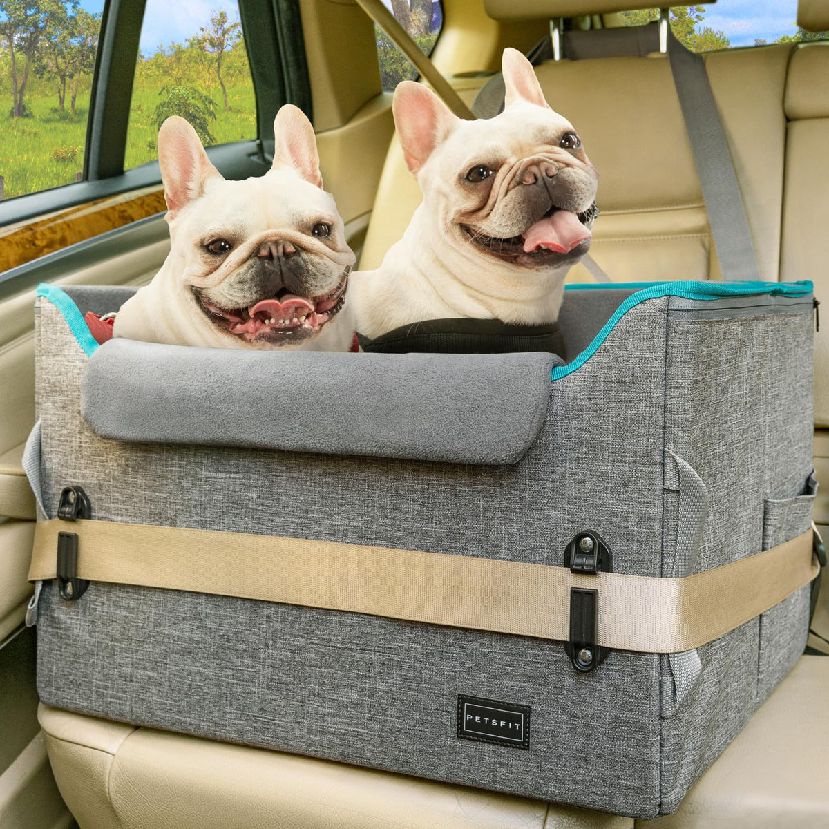 Petsfit dog booster seat front view for secure driving and access to the road