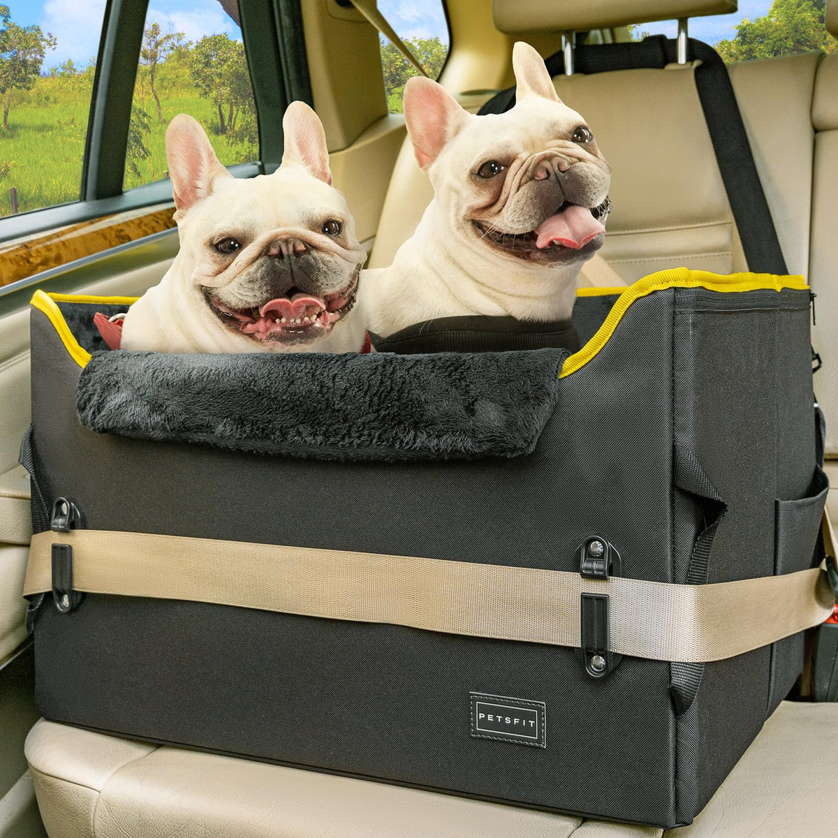 Petsfit dog booster seat front view showing elevated seating for medium dogs