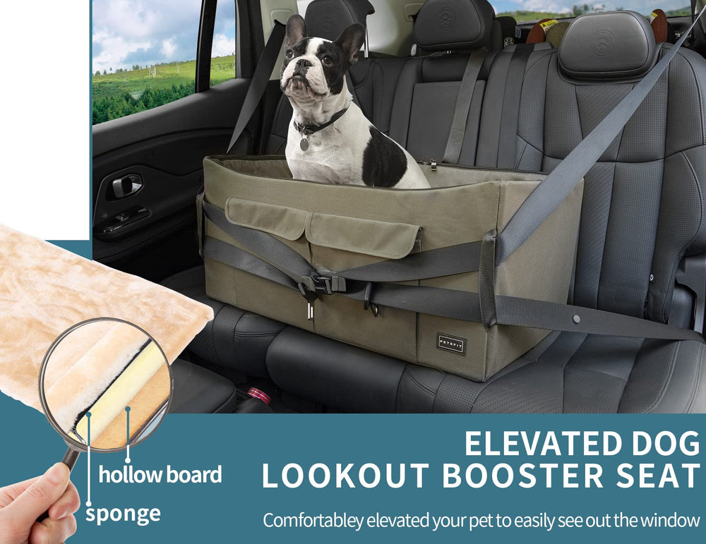 Petsfit dog booster seat side install demonstrates quick setup for on the go trips.