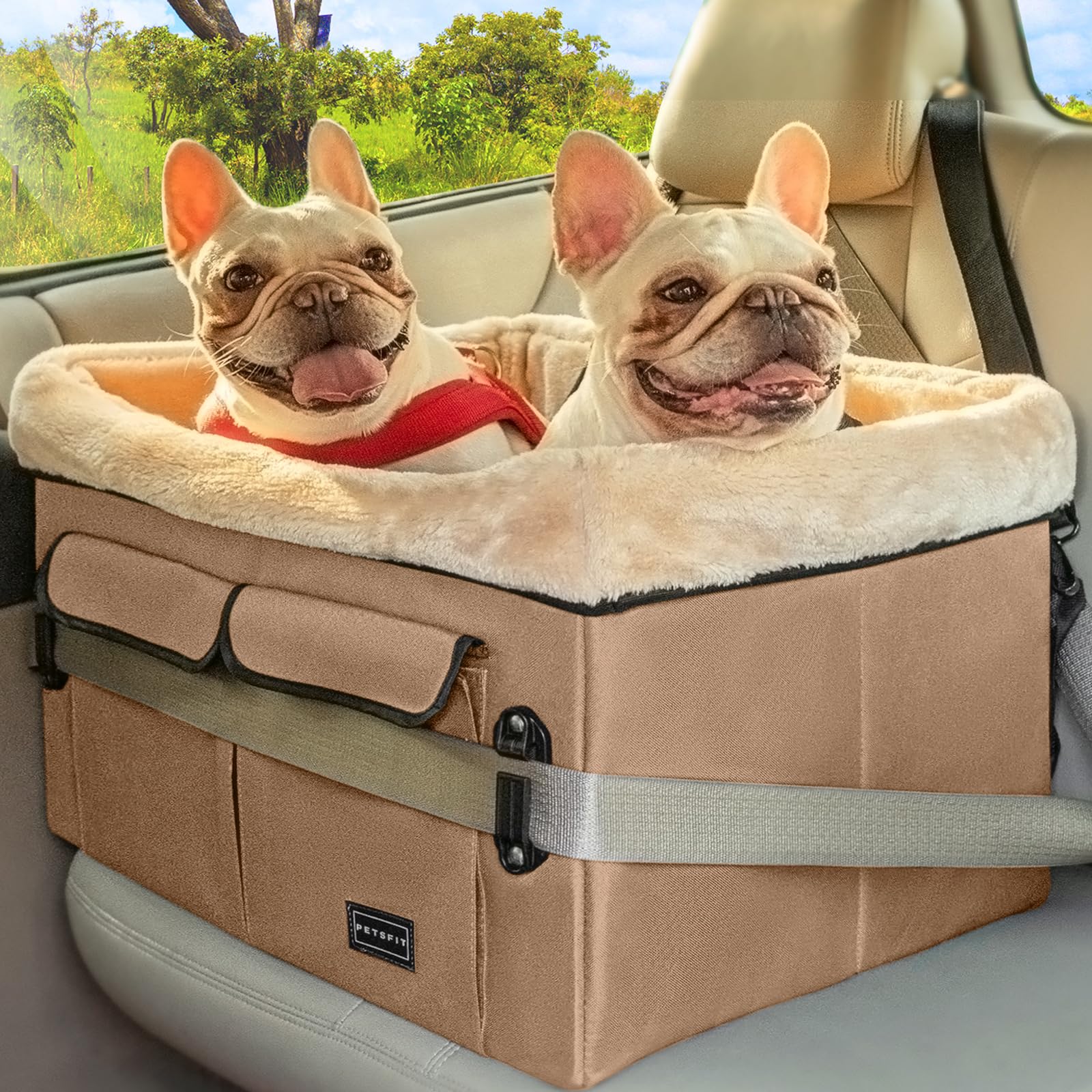 Petsfit dog booster seat with elevated view for calmer ride