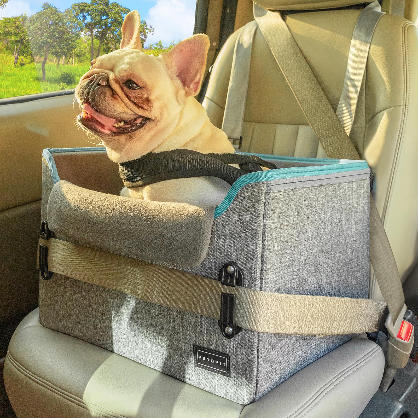 PETSFIT dog car seat front-seat install view, safe travel for small dogs on car rides.