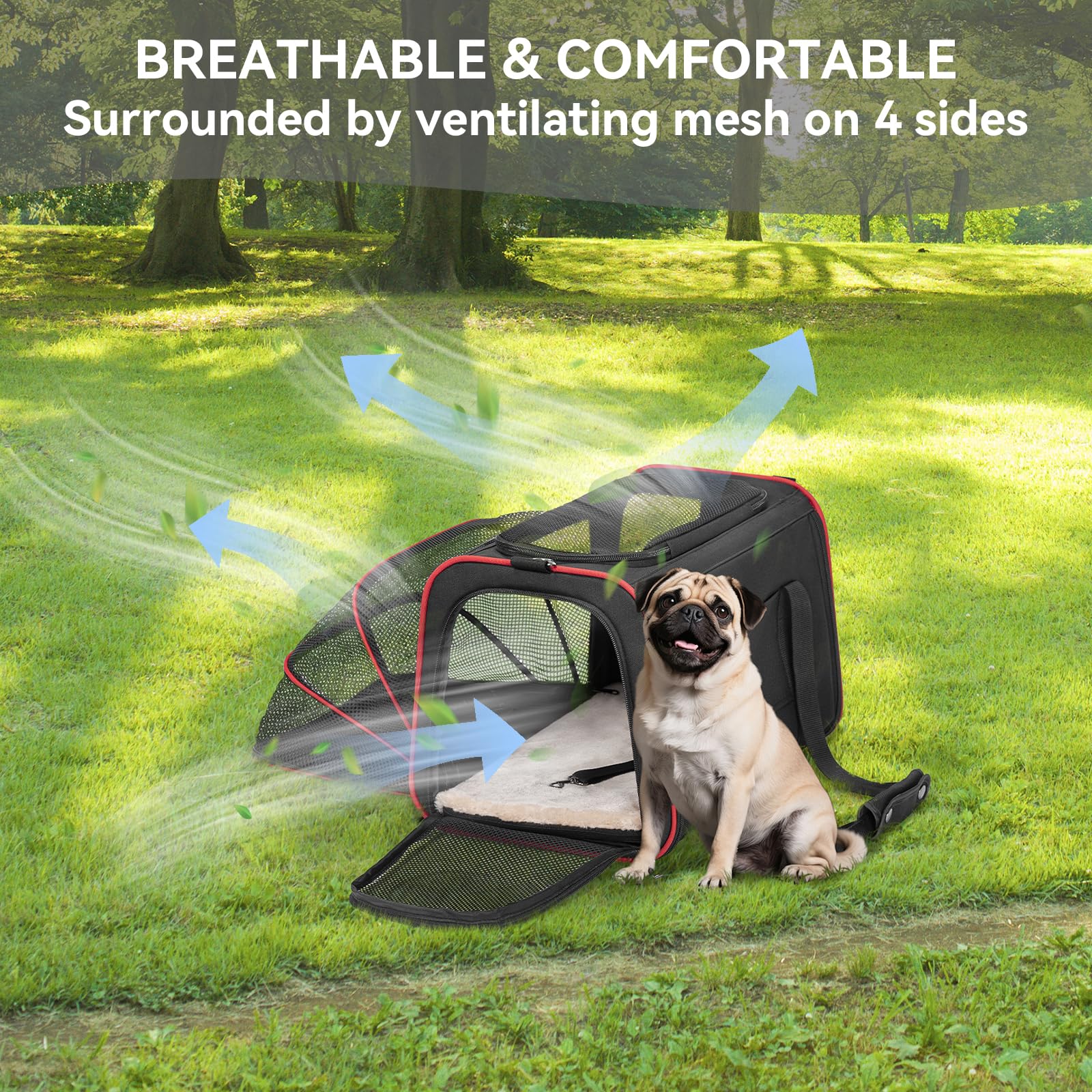 Petsfit expandable carrier airline-approved size helps portable travel under the seat.