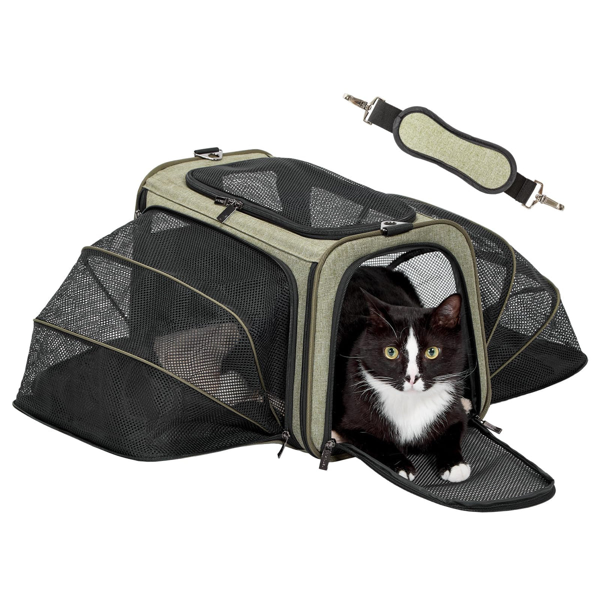 Petsfit expandable carrier under-seat: compact travel-friendly design