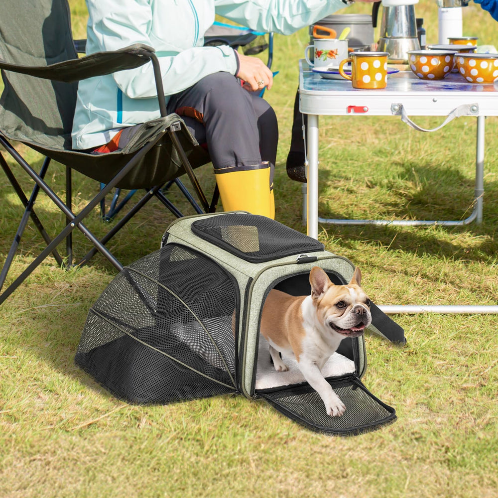 Petsfit expandable cat carrier airline-approved sizes with notes on L variant.