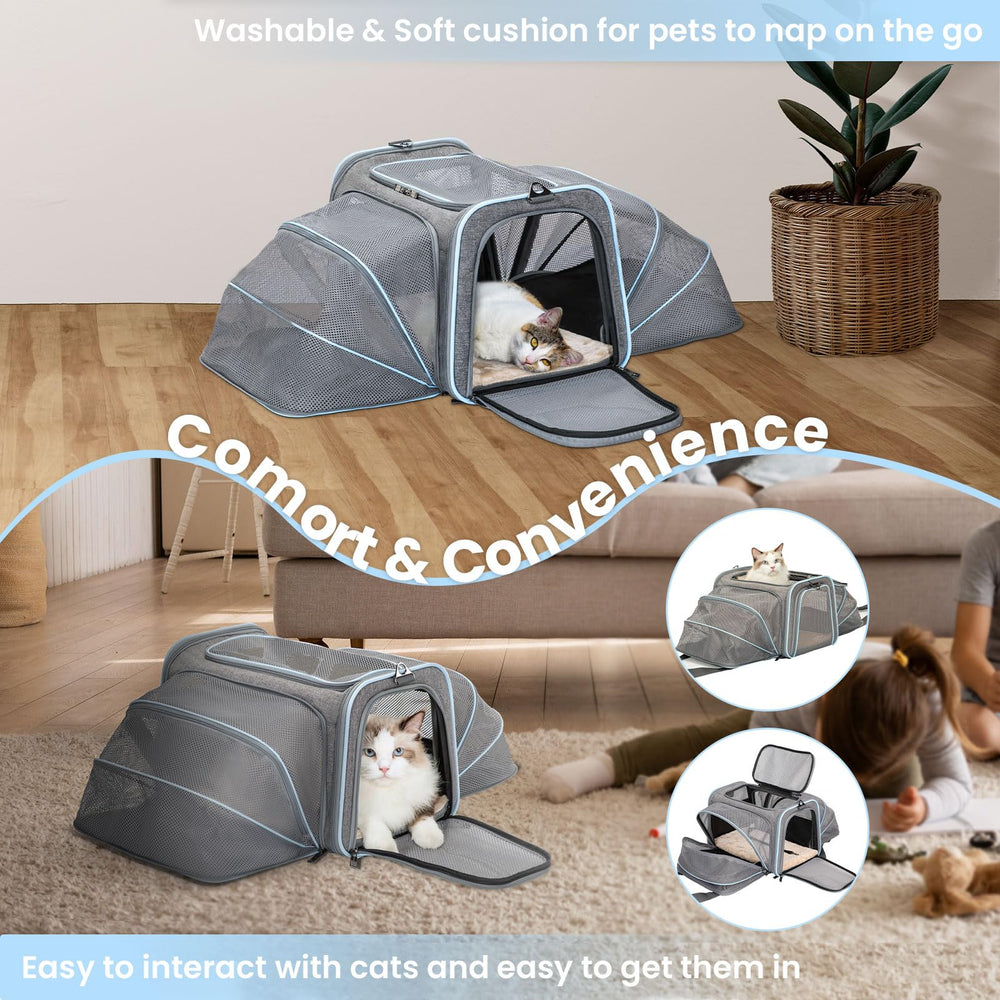 Petsfit carrier measures 19x12x12 inches in compact form.