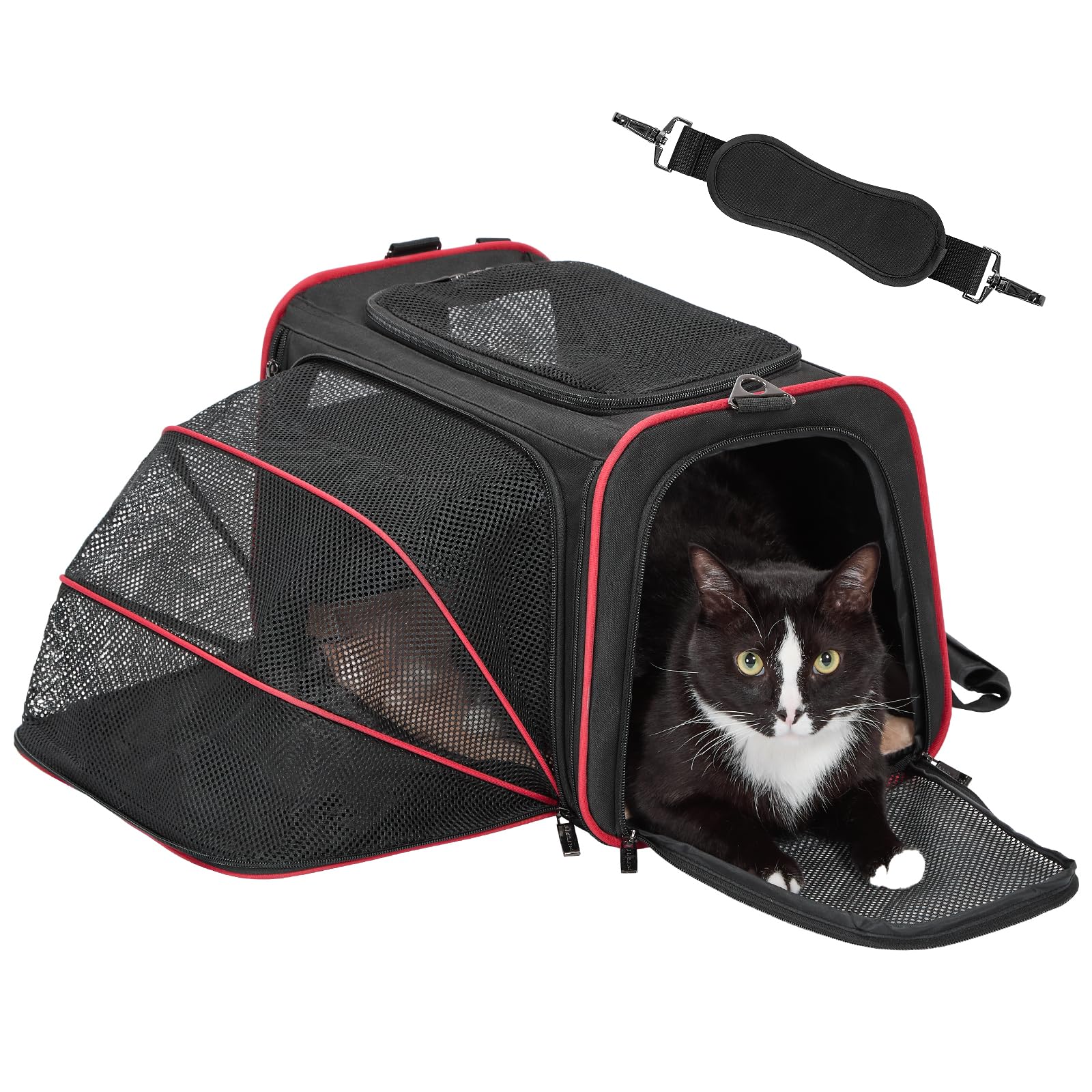 Petsfit expandable-cat-carrier-extended-space shows extra room for pets during travel.