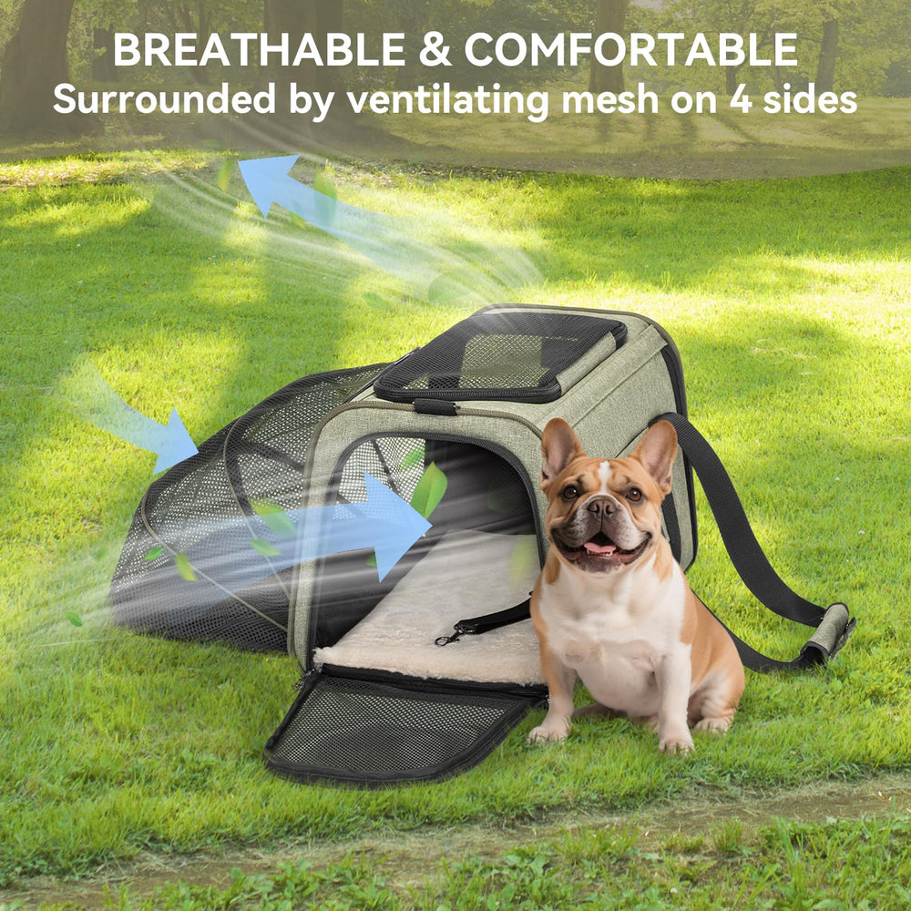 Petsfit expandable cat carrier multiple-carrying-options for versatile transport.