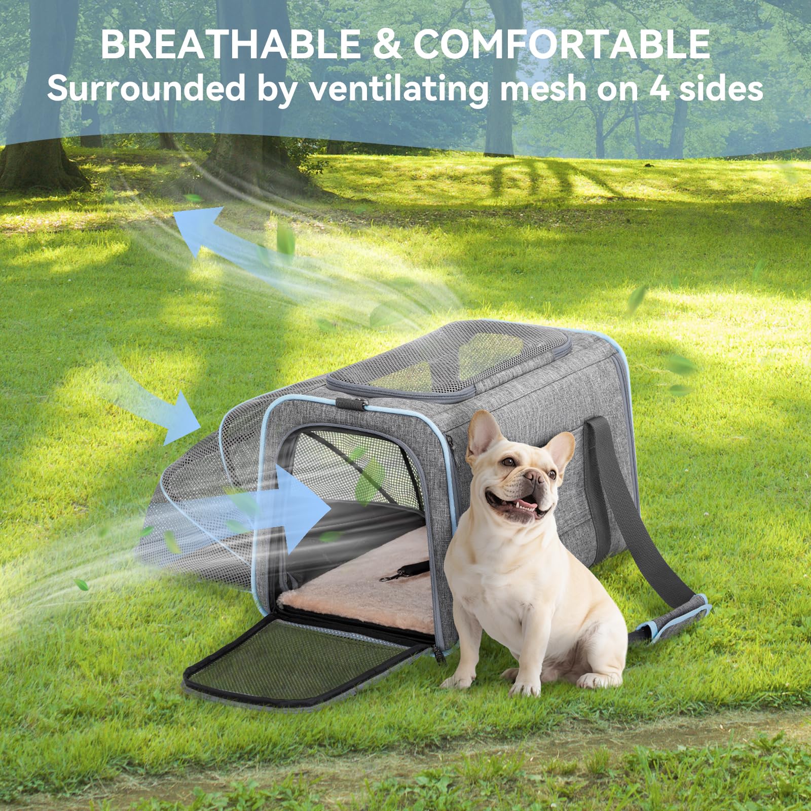 Petsfit expandable pet carrier carrying options scene shows multiple handles and strap.
