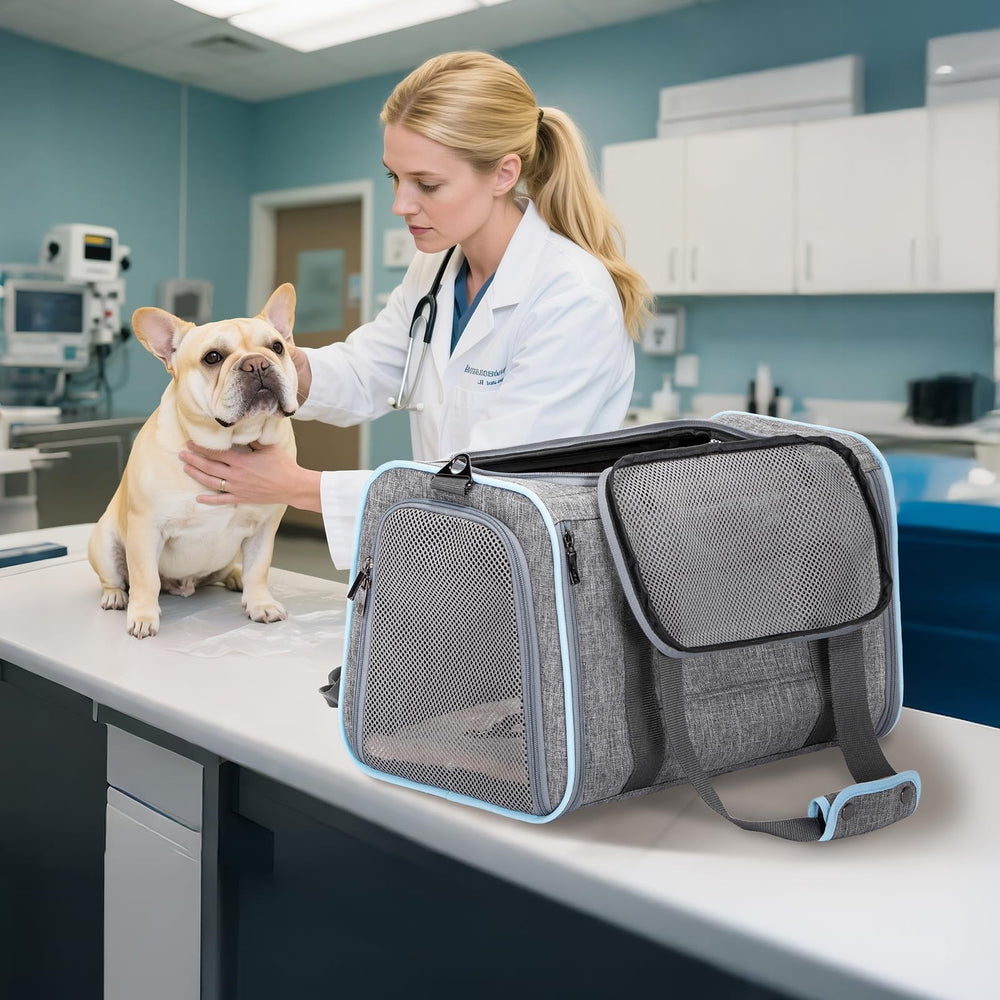 Petsfit expandable pet carrier travel scenario demonstrates luggage-attachable design.