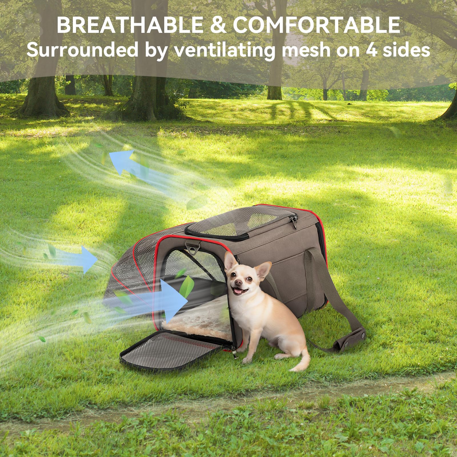 Petsfit expandable soft-side carrier multi-carry strap enabling versatile carrying