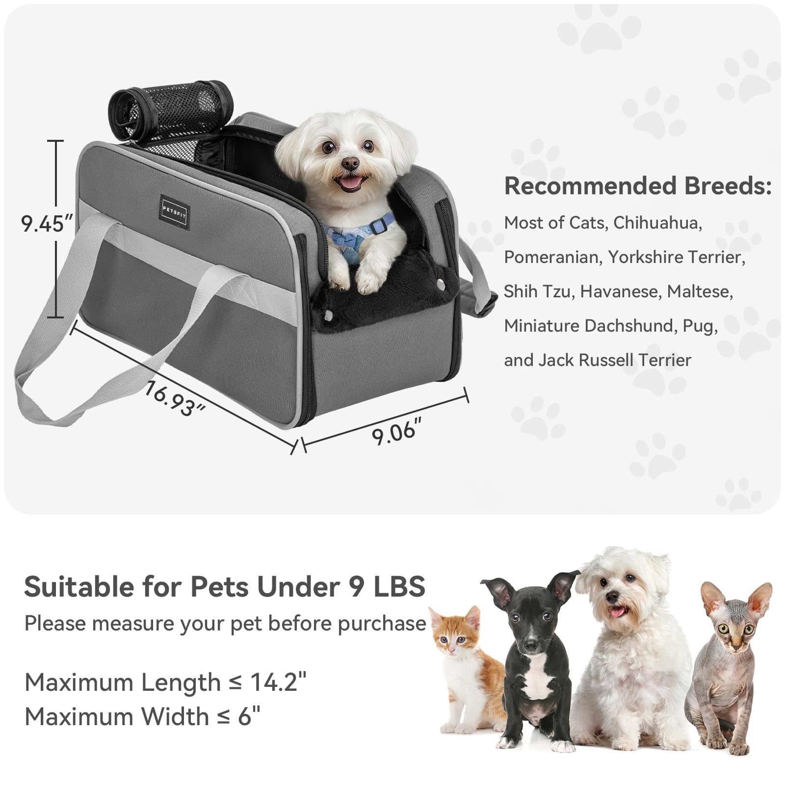 Petsfit foldable dog car seat that stows compactly when not in use.