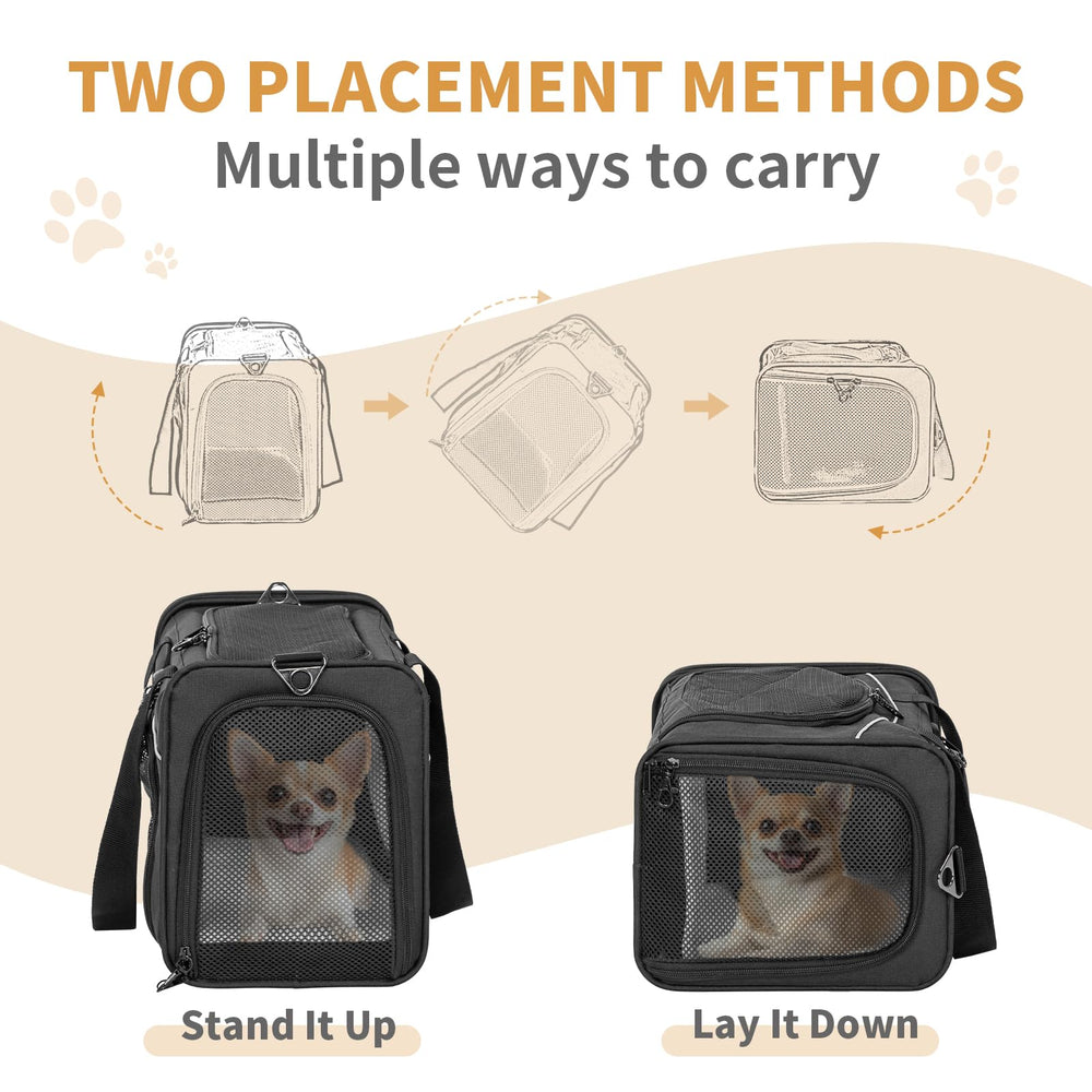 Petsfit four mesh ventilation panels give airflow and visibility for calm travel