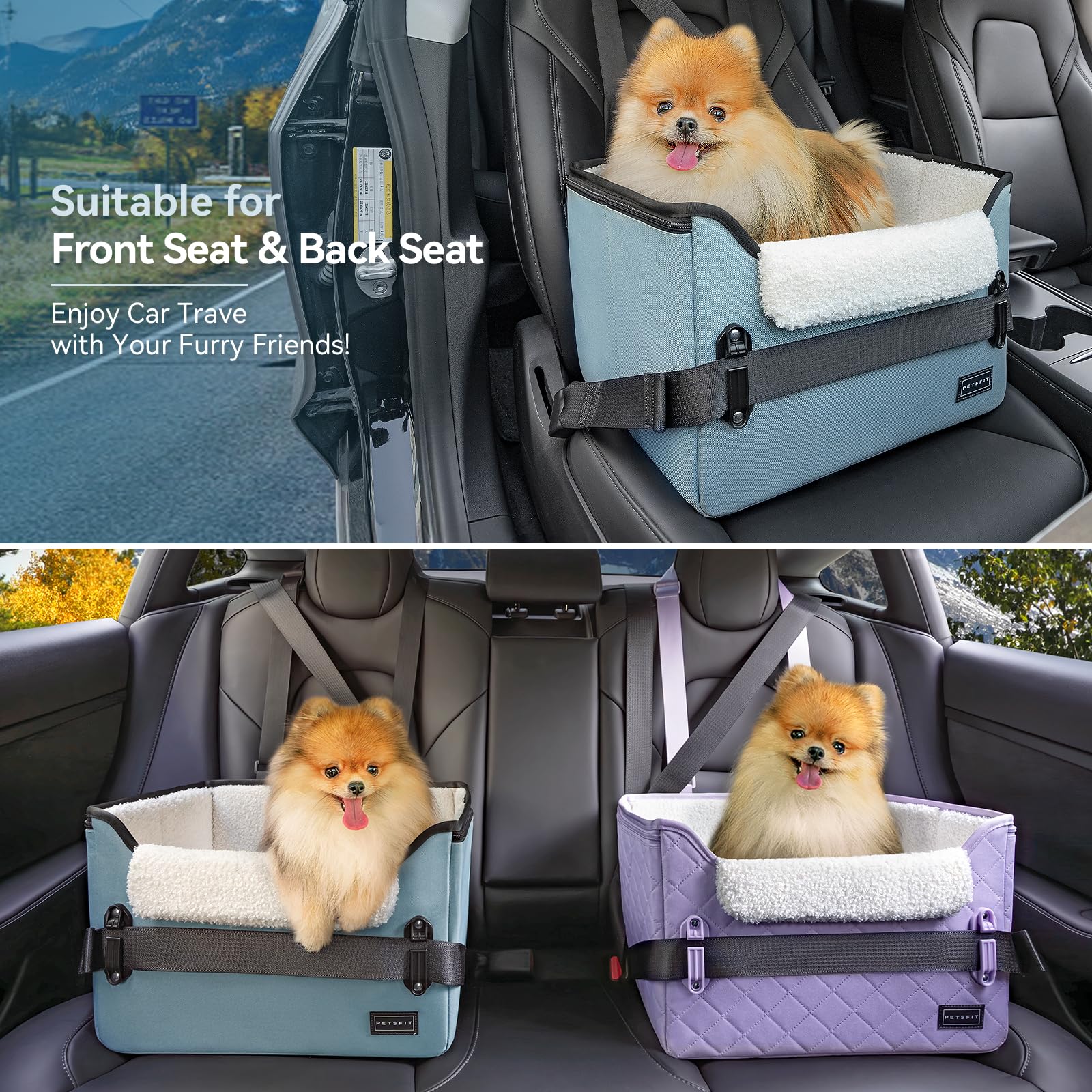PETSFIT patented safety buckles provide secure anchoring during turns and stops.
